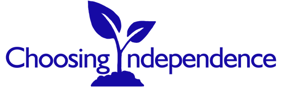 cropped-logo-blue.png